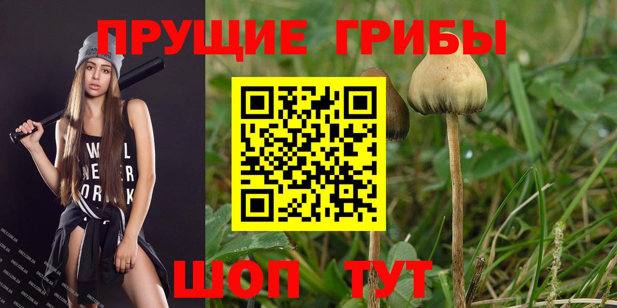 Псилоцибиновые грибы мицелий  Вход с VPN  Лабытнанги 