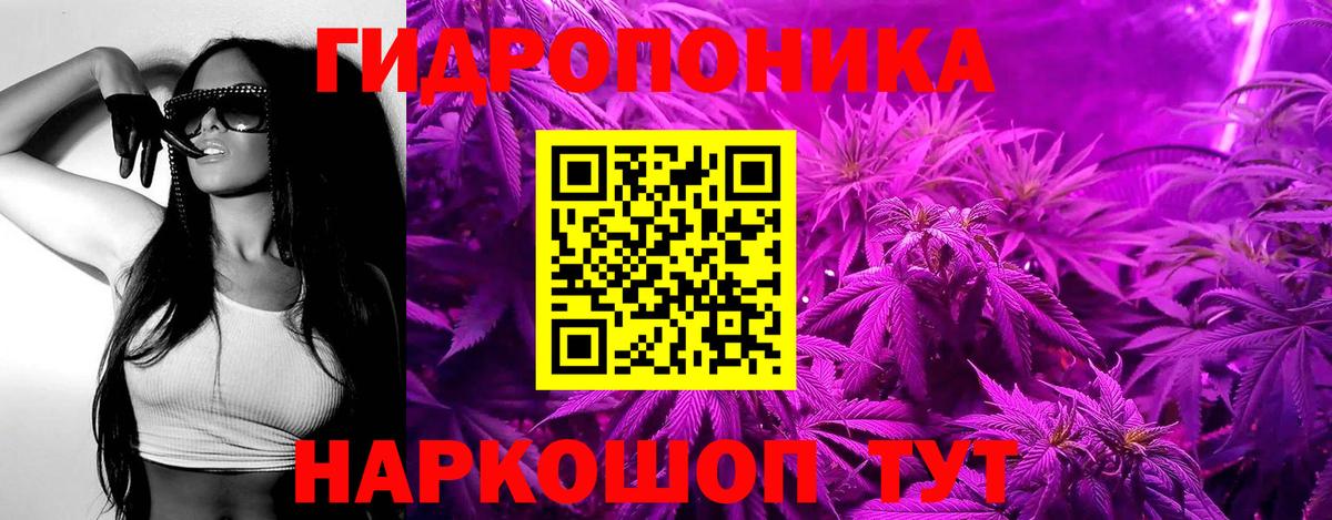 Бошки Шишки сатива Лабытнанги
